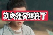刘大锤爆料后续视频播放,揭秘视频背后的惊人真相