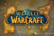 最新爆料暴雪视频大全,视频大全揭秘游戏幕后秘密