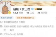 卡哥最新爆料视频下载免费,免费下载背后的秘密与机遇