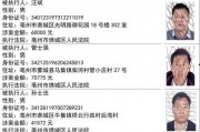 新闻爆料失踪人名单最新,失踪人员名单揭晓，紧急寻人行动全面展开
