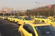纳雍出租车爆料案件最新,真相浮出水面，警方全力追查